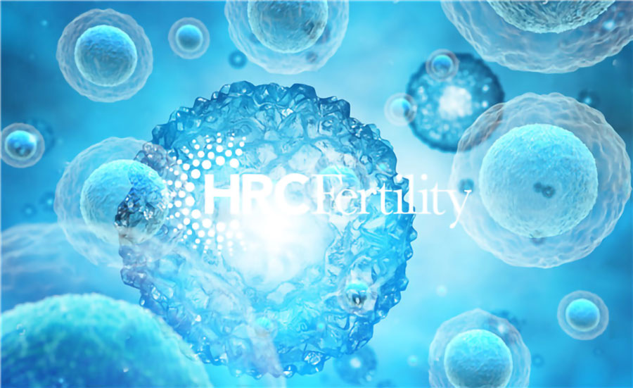 冻卵-HRC900.jpg