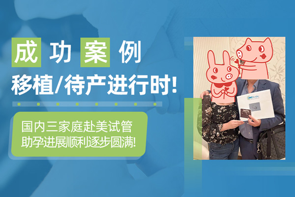 美国试管婴儿成功案例