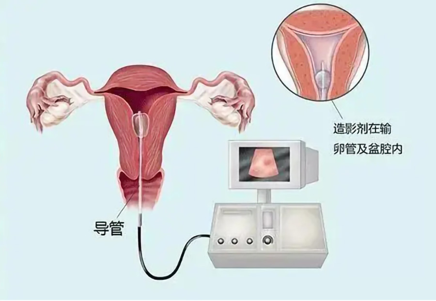 微信截图_20231008144521.jpg