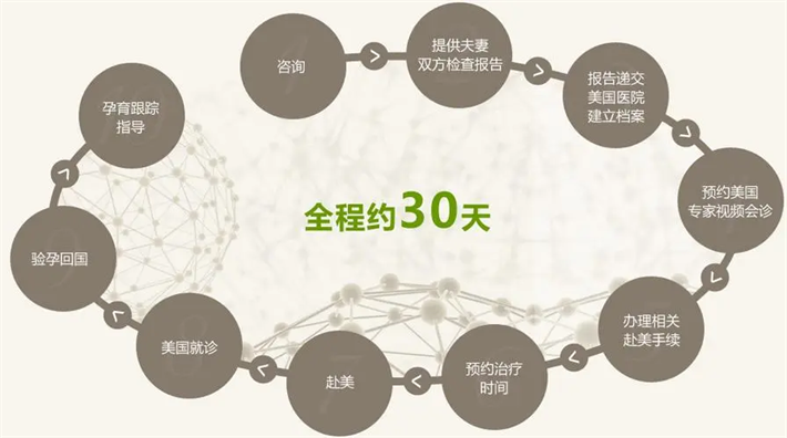 试管流程.png