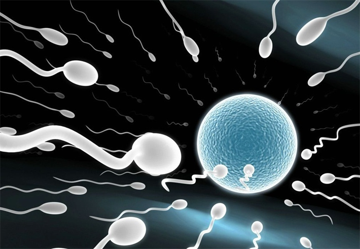 精子碎片检测.png