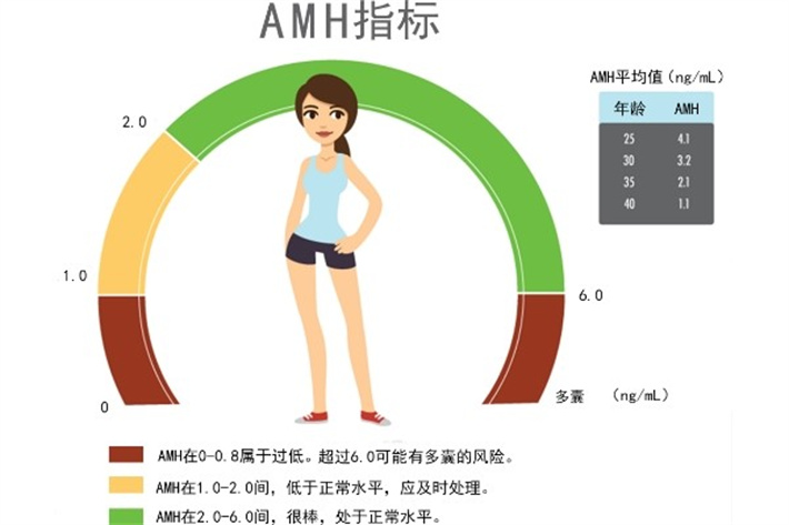 AMH值的意义.jpg