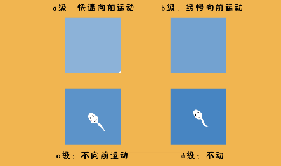 精子活力等级.gif