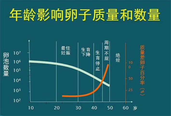 基础卵泡数量和年龄的关系.png
