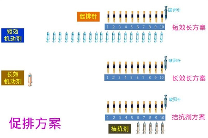 促排方案3.jpg