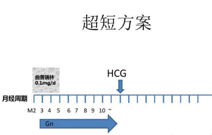 微促方案.png