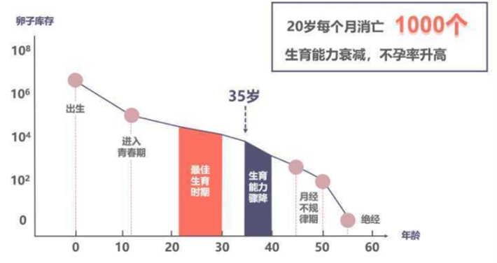 最佳生育年龄21大.png