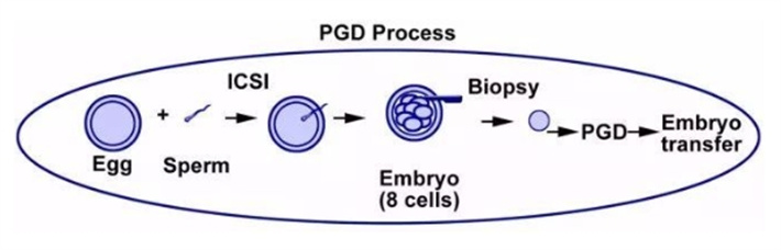 pgd4.jpg