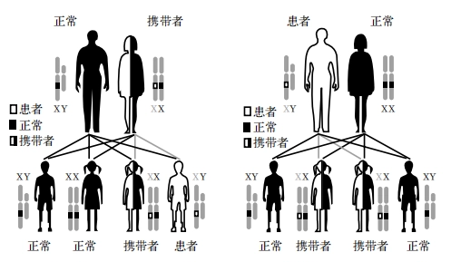 色弱