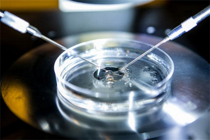 IVF
