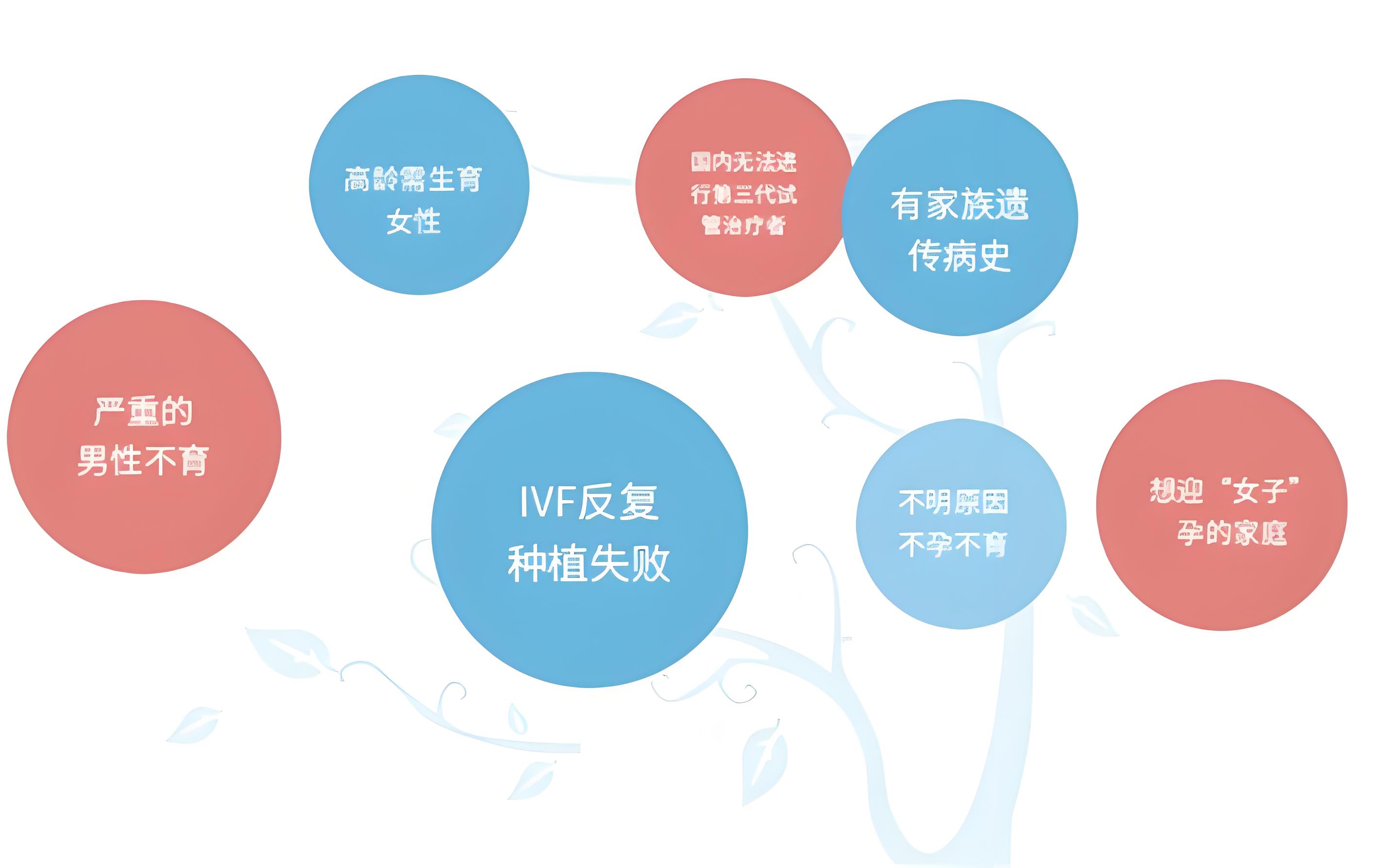 美国试管适用人群