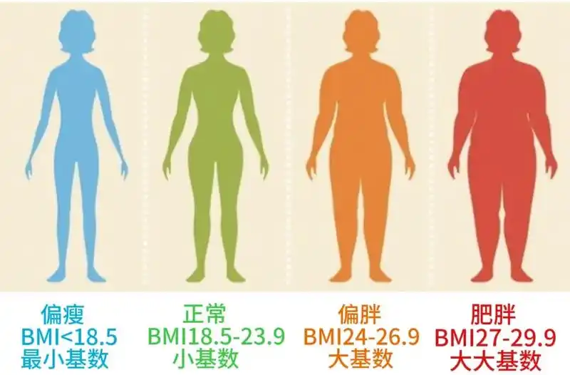 BMI指数
