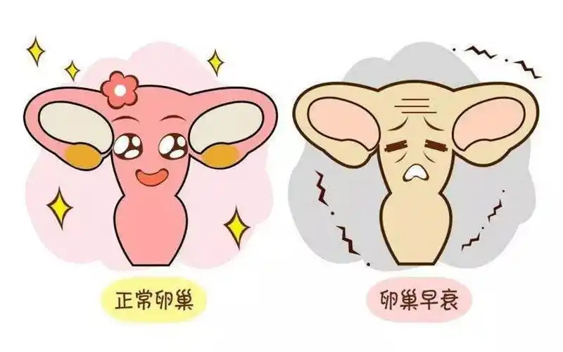 卵巢早衰
