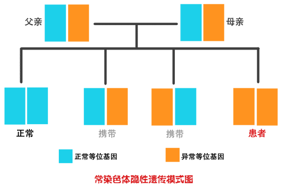 常染色体隐形遗传