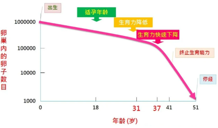 年龄