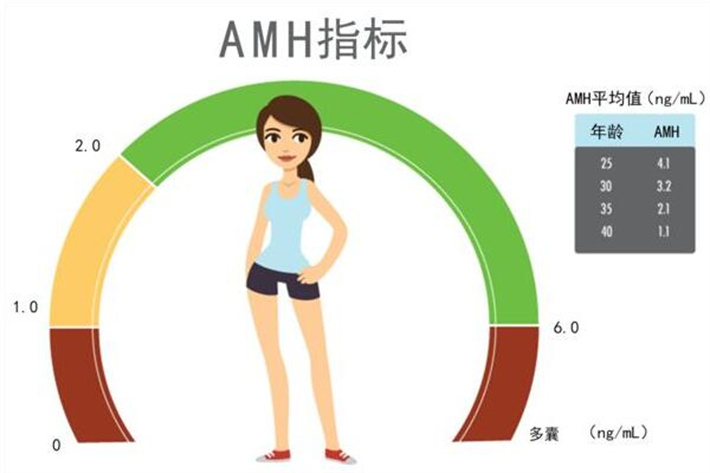 AMH参考指标