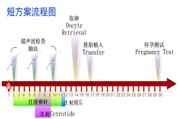 短方案