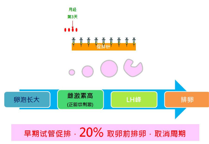 拮抗剂方案