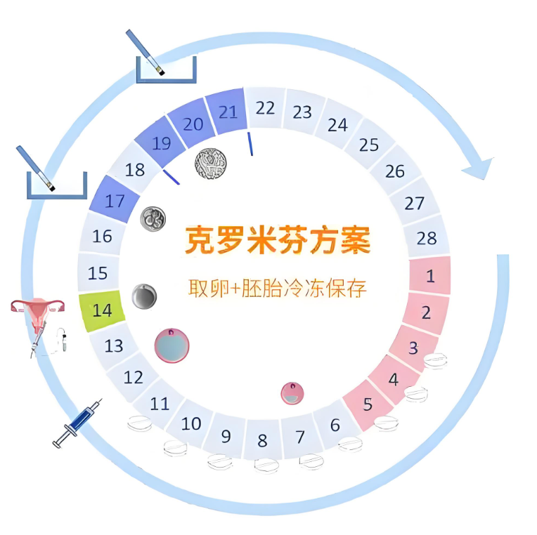 克罗米芬方案