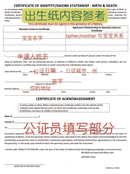 出生纸内容参考