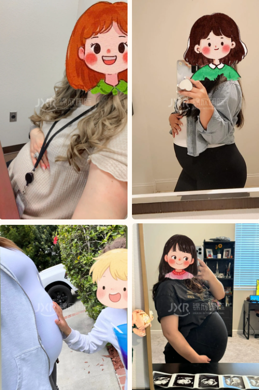 美国试管婴儿成功案例