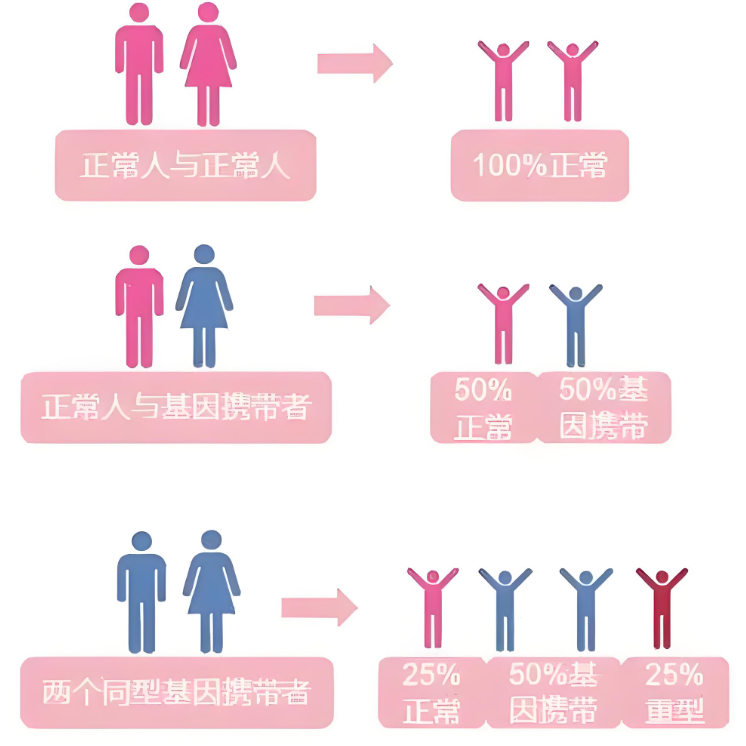 地贫夫妻遗传图.png
