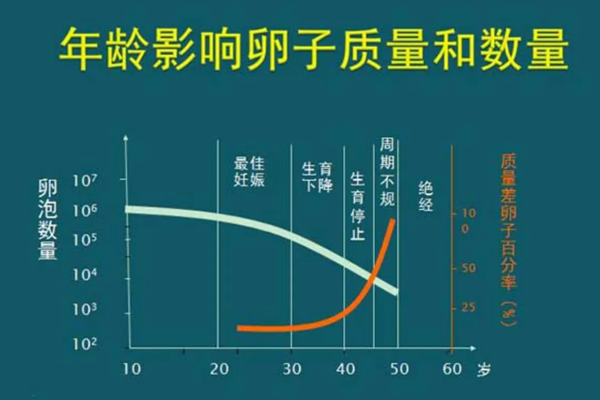 年龄对卵子质量的影响.png