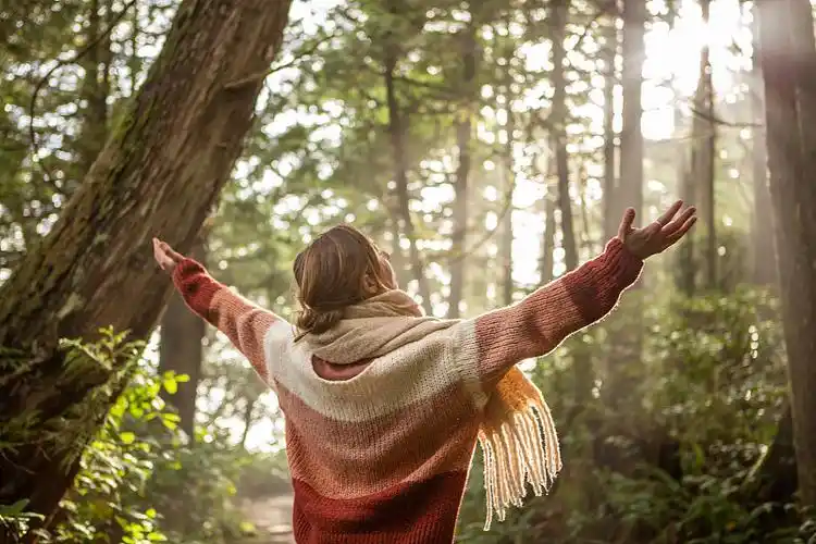 自然疗法如森林浴