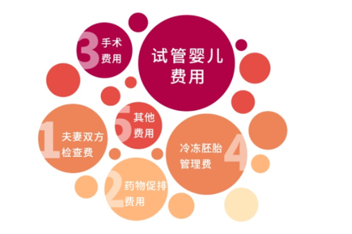 美国试管费用