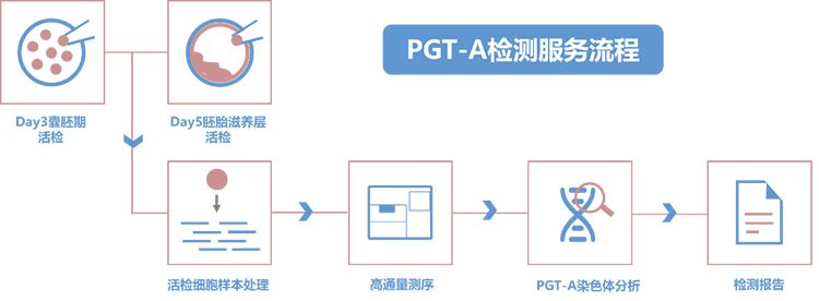PGT-A检测流程