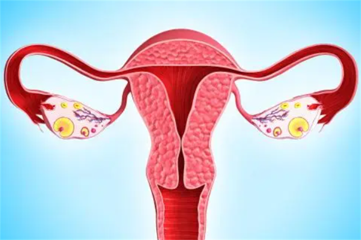 卵巢反应良好着