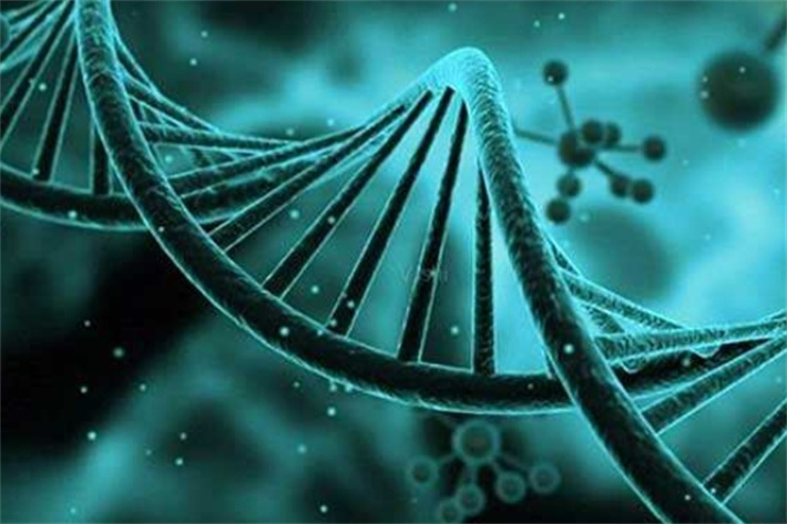 胚胎NGS基因测序技术