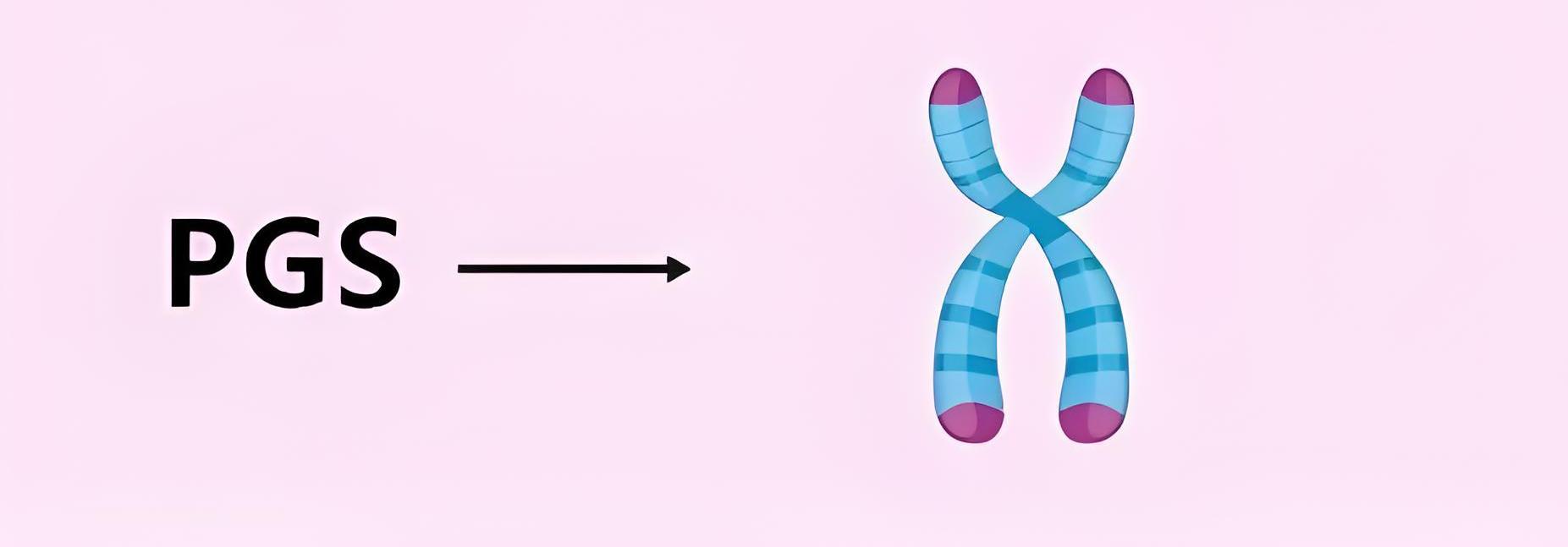 PGS主要针对胚胎的染色体进行检测