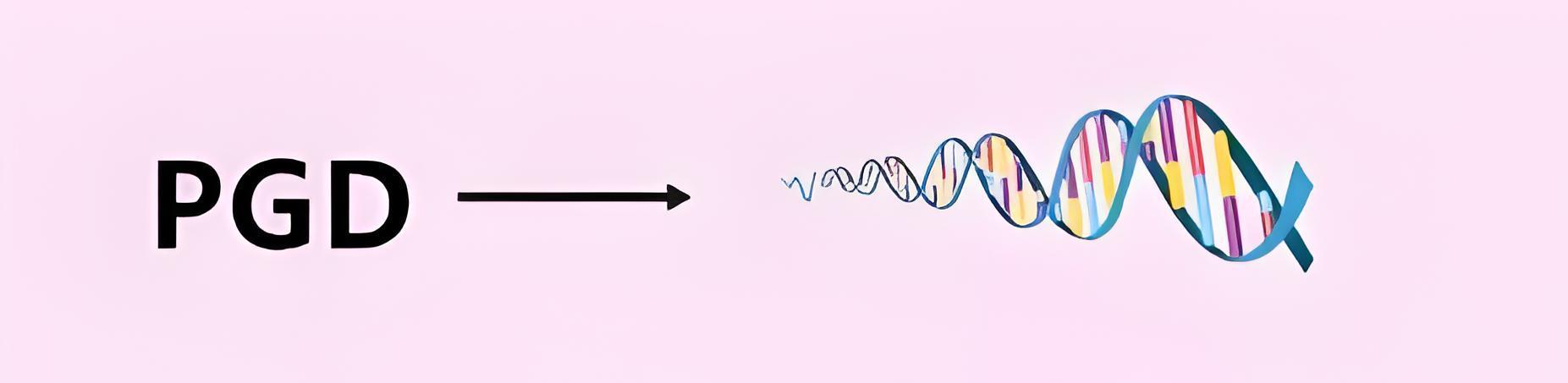 PGD技术则更侧重于对胚胎基因层面的诊断