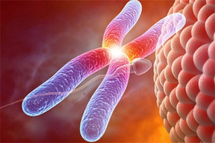 染色体异常人群