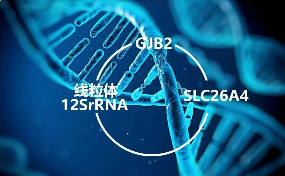 遗传性耳聋