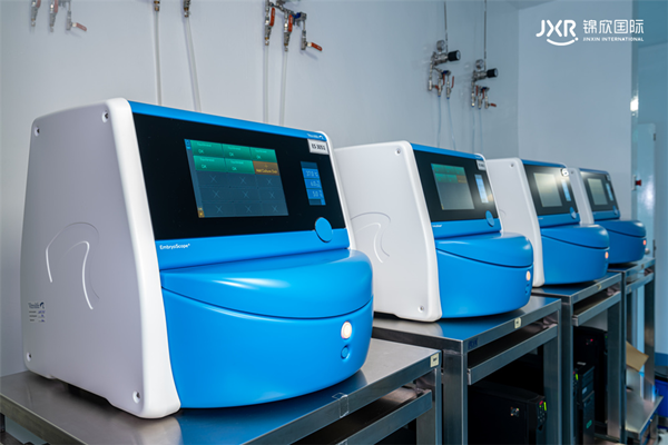 胚胎发育实时监控技术