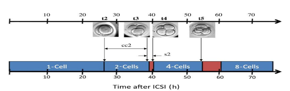 Geri® 时序培养系统