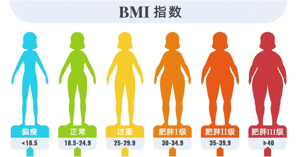 BMI指数