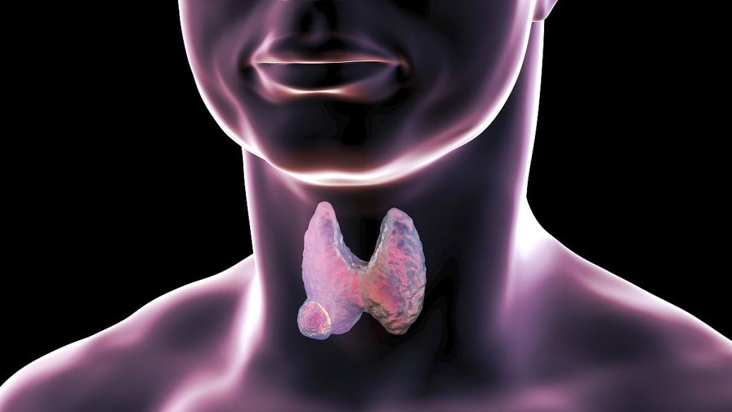 甲状腺过氧化物酶抗体
