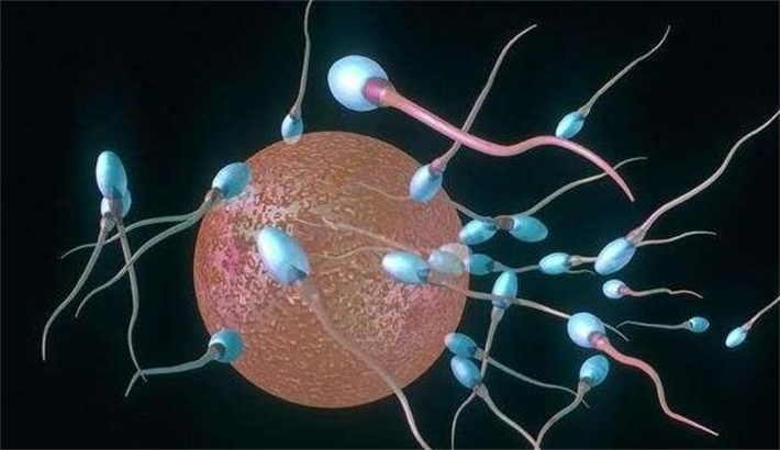 少，弱，畸精症