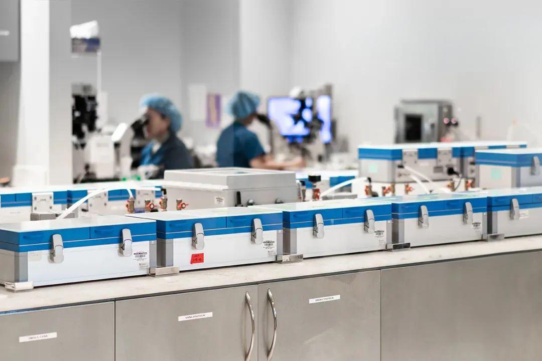 先进胚胎实验室