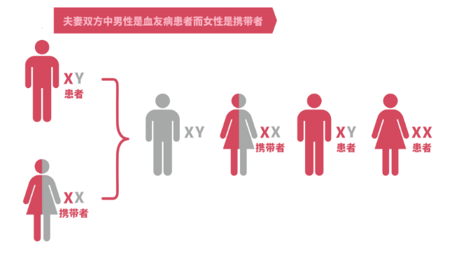 血友病遗传图谱