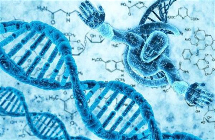 有明确的遗传风险