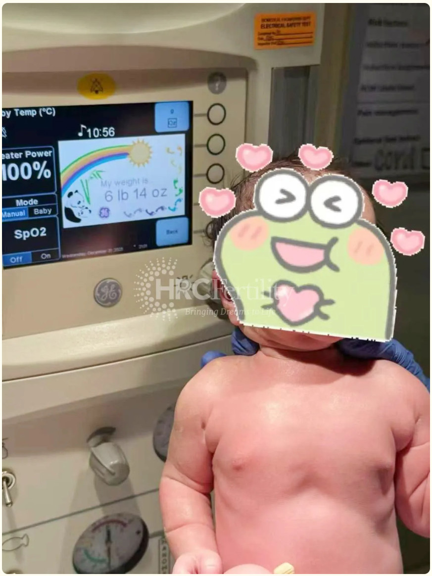成功案例