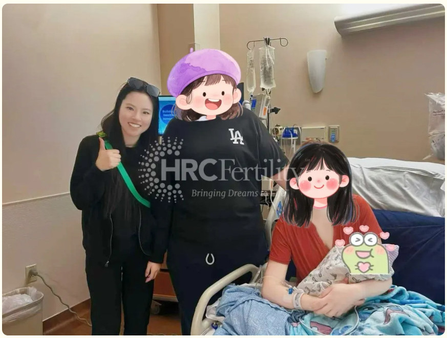 成功案例