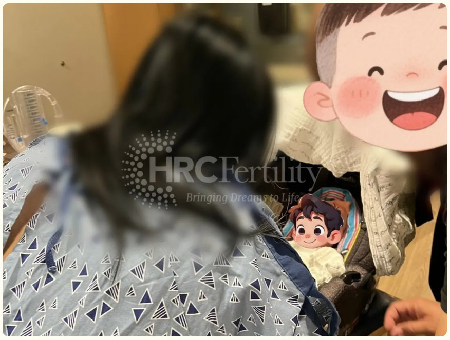 成功案例