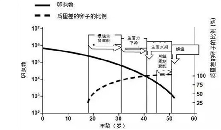 年龄
