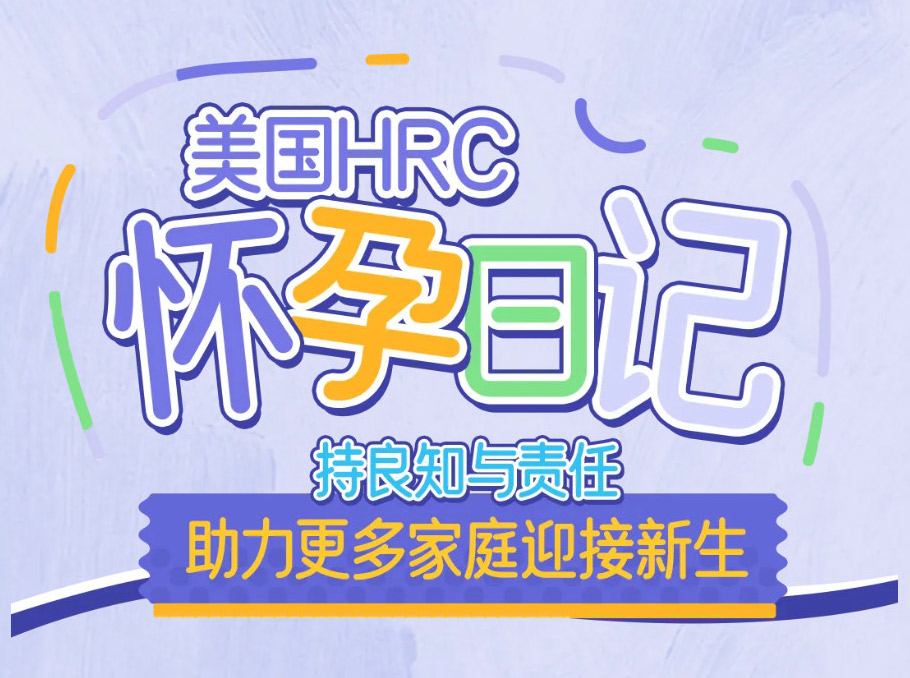 成功案例