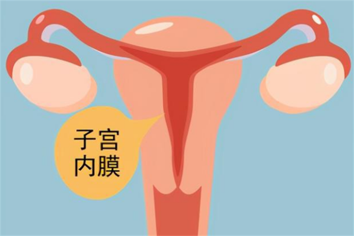 内膜准备